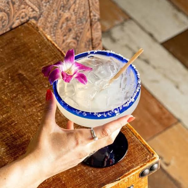 A hand holding a margarita with a blue rim, salt, ice, and a purple orchid garnish.